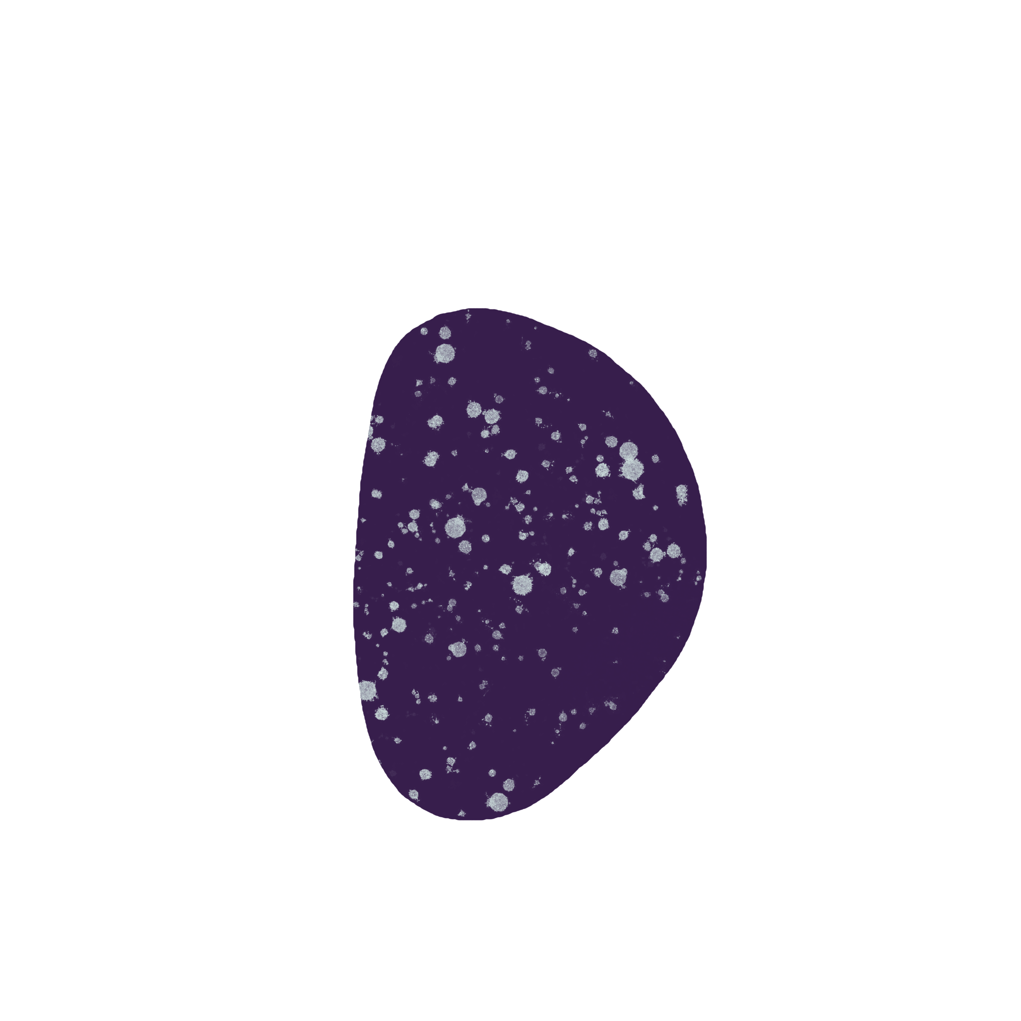 Black currant pebble