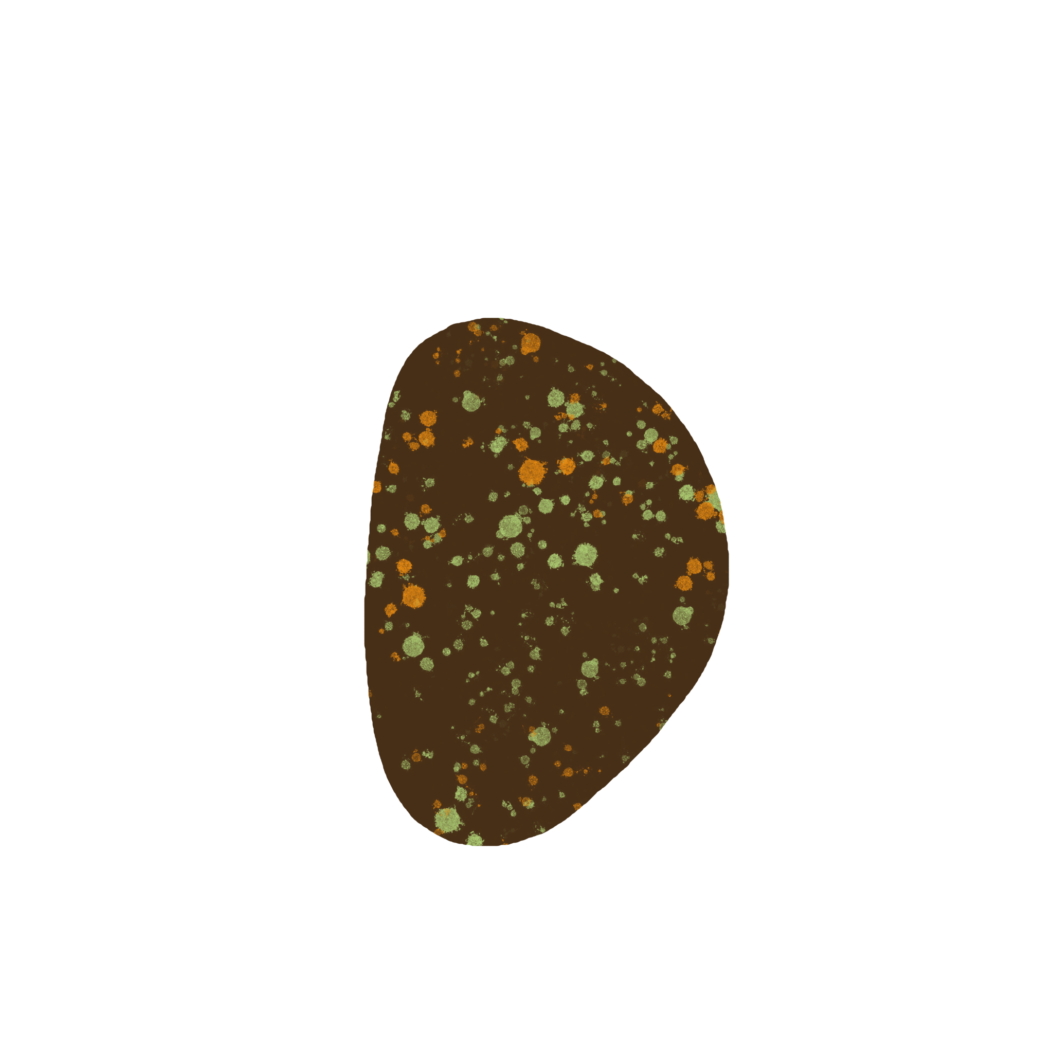 Nasturtium pebble